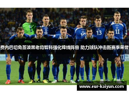 费内巴切免签波黑老将哲科强化锋线阵容 助力球队冲击新赛季荣誉