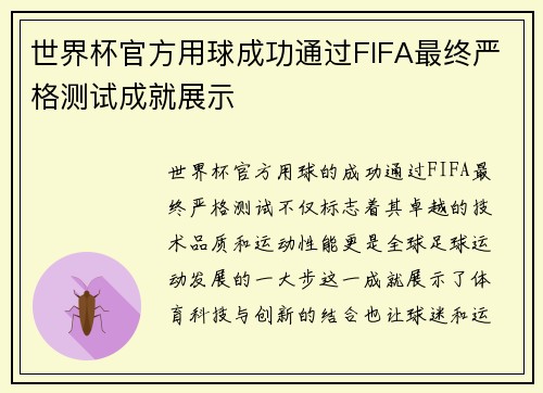 世界杯官方用球成功通过FIFA最终严格测试成就展示 世界杯官方用球成功通过FIFA最终严格测试成就展示